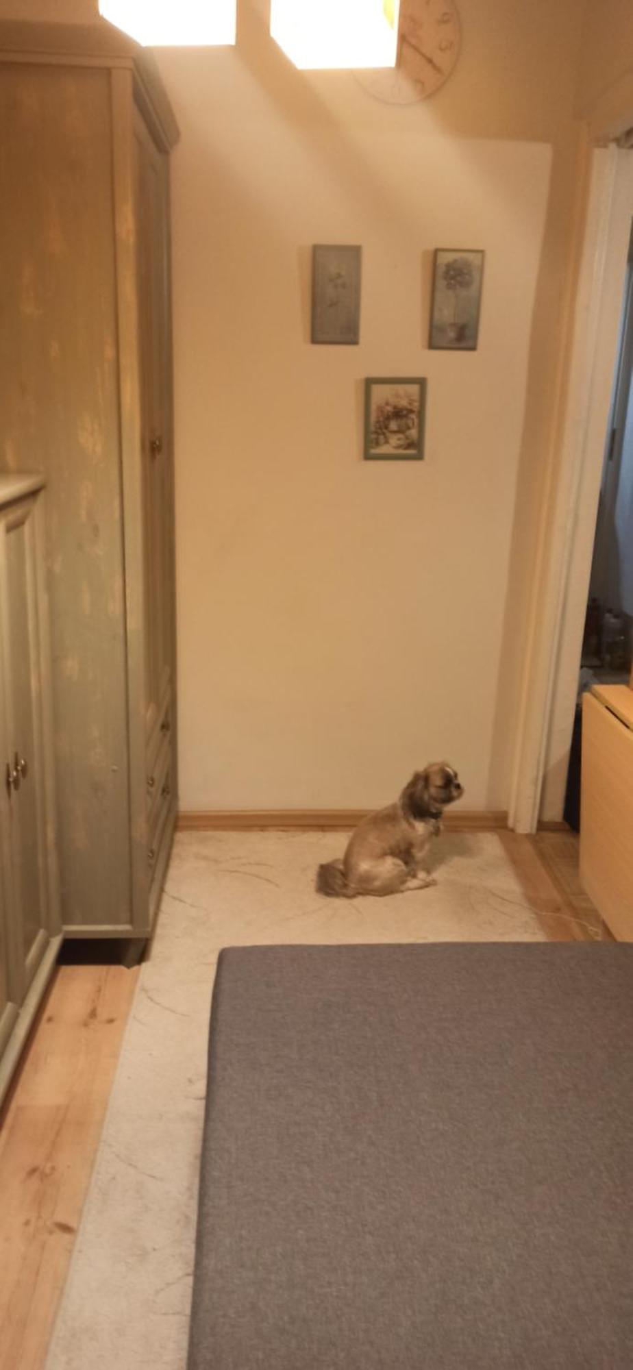 Cichy Zakatek Kolobrzeg Apartment ภายนอก รูปภาพ